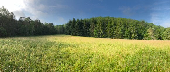 e1htejtnrzasxh4dqahs4g