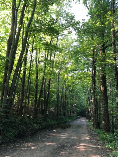 qWVUI8J9R%io+wpNW%W3Dg