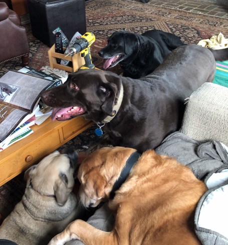 xwmzHPZjQ36OkG2fomWxXw